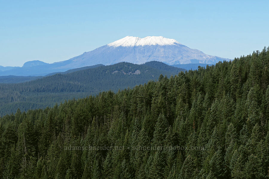 Mount St. Helens [Sleeping Beauty, Gifford Pinchot National Forest, Skamania County, Washington]