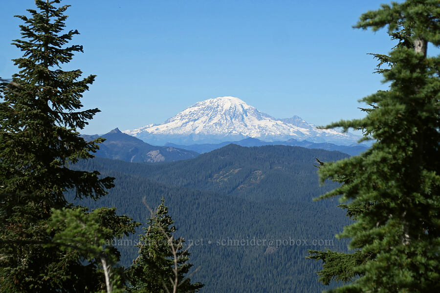Mount Rainier [Steamboat Mountain, Gifford Pinchot National Forest, Skamania County, Washington]