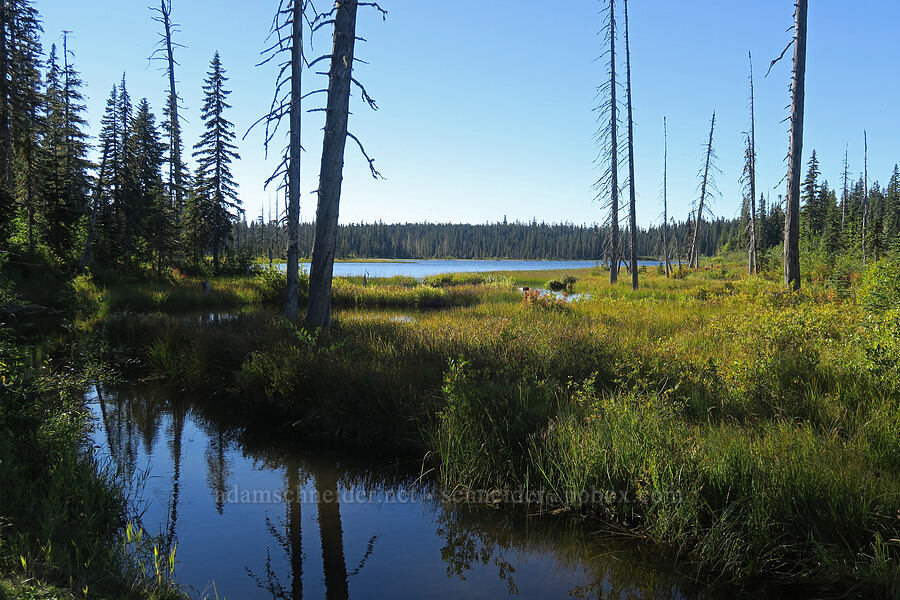 Mosquito Lake [Forest Road 8851, Gifford Pinchot National Forest, Skamania County, Washington]