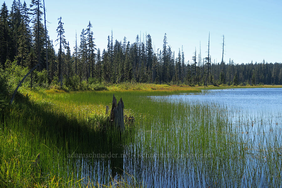 Big Mosquito Lake [Mosquito Lakes, Gifford Pinchot National Forest, Skamania County, Washington]
