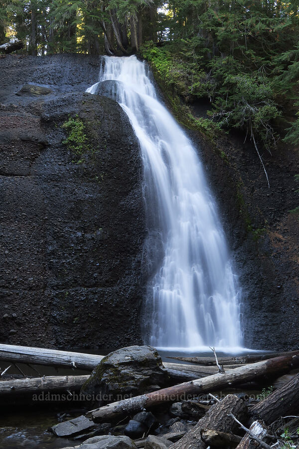 Langfield Falls [Langfield Falls Trail, Gifford Pinchot National Forest, Skamania County, Washington]