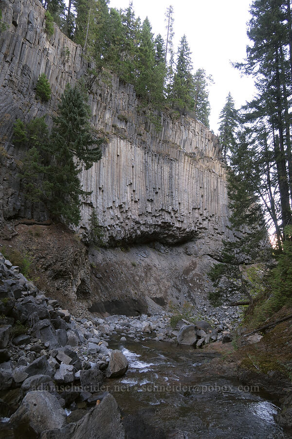 columnar basalt [Little Goose Creek Canyon, Gifford Pinchot National Forest, Skamania County, Washington]