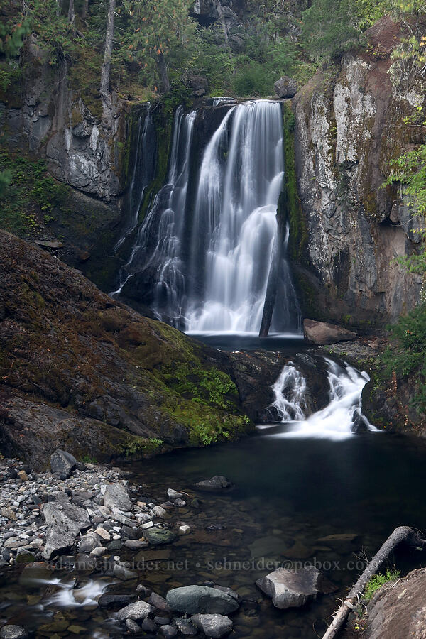 Little Goose Creek Falls [Little Goose Creek Canyon, Gifford Pinchot National Forest, Skamania County, Washington]