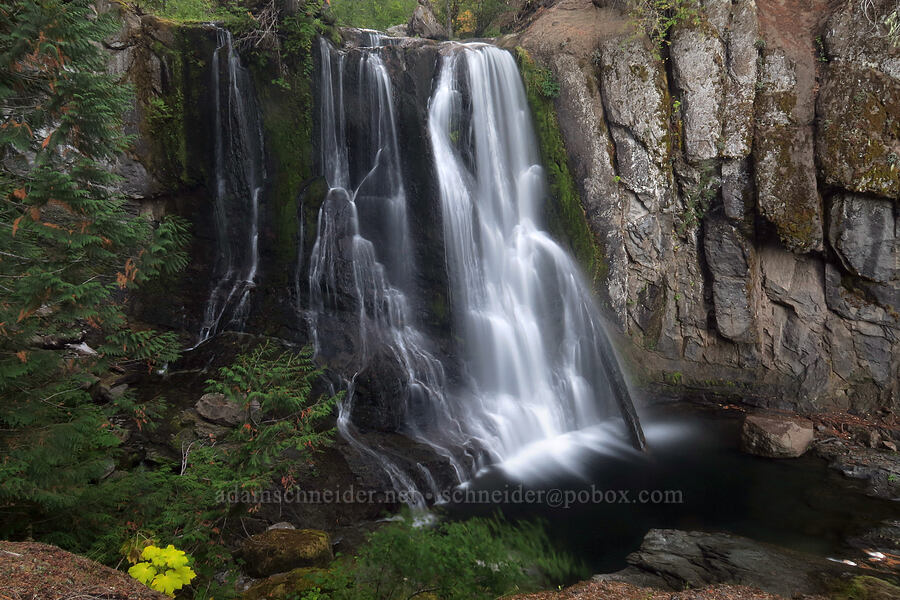 Little Goose Creek Falls [Little Goose Creek Canyon, Gifford Pinchot National Forest, Skamania County, Washington]