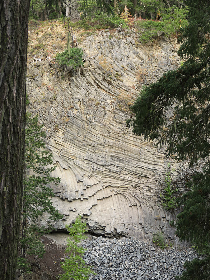 columnar basalt [Little Goose Creek Canyon, Gifford Pinchot National Forest, Skamania County, Washington]