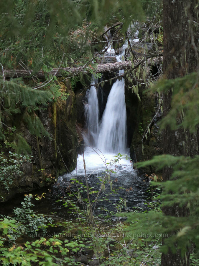 Upper Little Goose Creek Falls [Little Goose Creek Canyon, Gifford Pinchot National Forest, Skamania County, Washington]