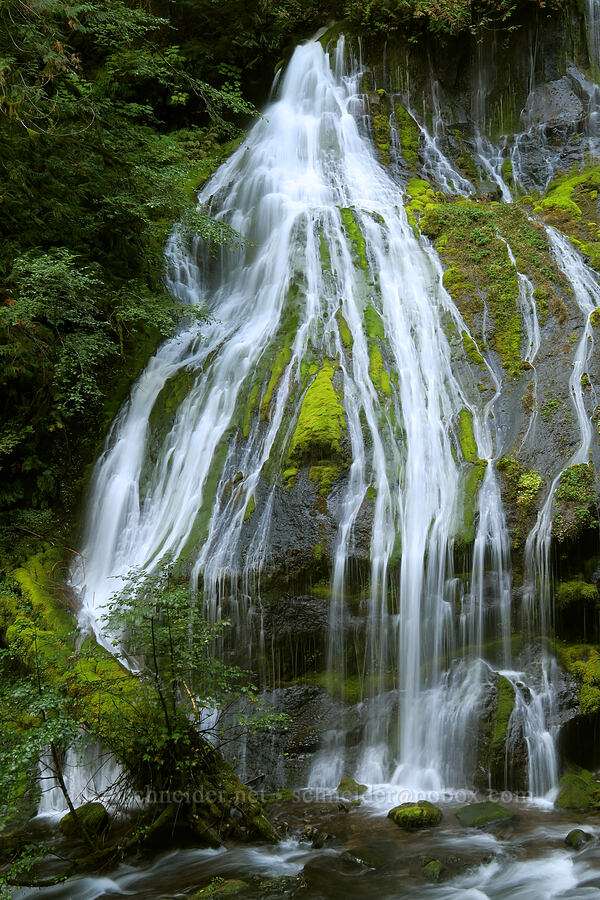 Panther Creek Falls [Panther Creek Falls Trail, Gifford Pinchot National Forest, Skamania County, Washington]