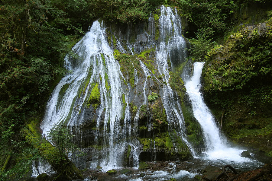Panther Creek Falls [Panther Creek Falls Trail, Gifford Pinchot National Forest, Skamania County, Washington]