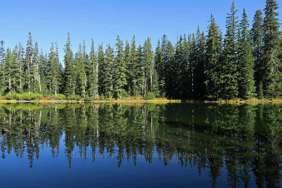 Dee Lake [Thomas Lake Trail, Indian Heaven Wilderness, Skamania County, Washington]