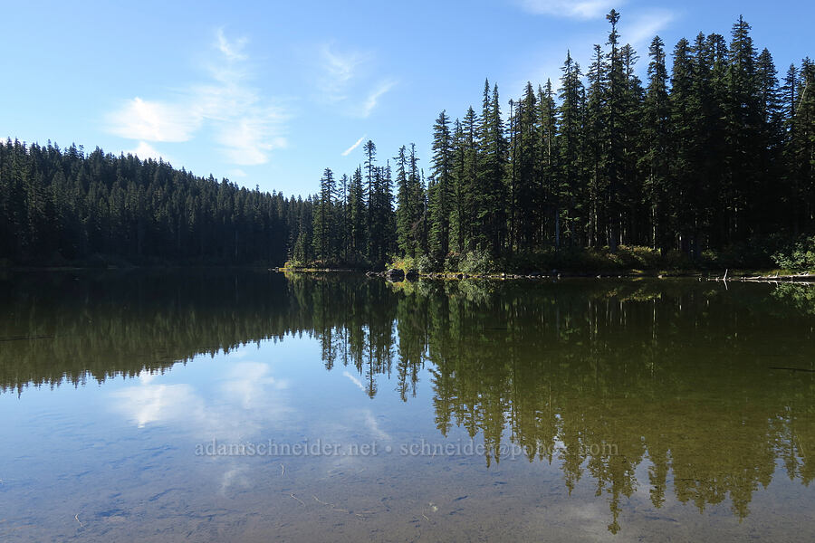 Thomas Lake [Thomas Lake Trail, Indian Heaven Wilderness, Skamania County, Washington]