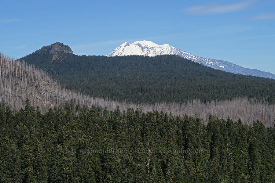 Lemei Rock & Mount Adams [Gifford Peak, Indian Heaven Wilderness, Skamania County, Washington]