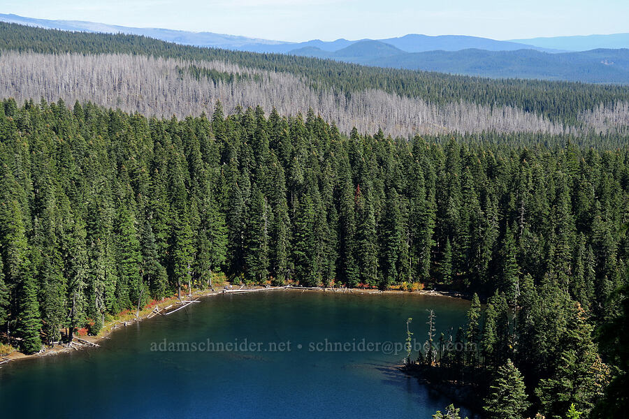 east end of Blue Lake [Gifford Peak, Indian Heaven Wilderness, Skamania County, Washington]