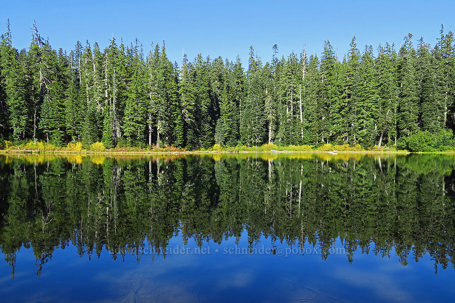 Heather Lake [Thomas Lake Trail, Indian Heaven Wilderness, Skamania County, Washington]