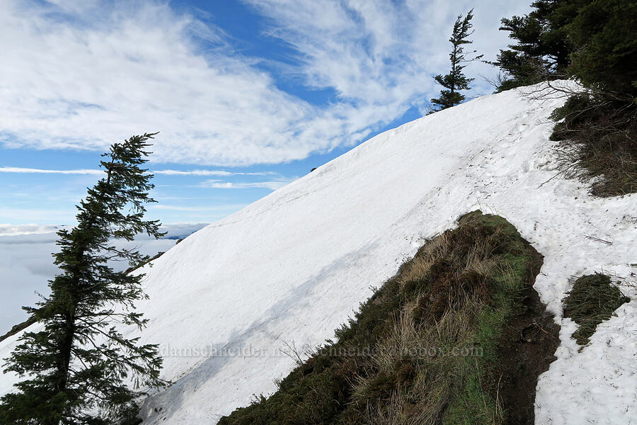 steep snowy slope [Dog-Augspurger Tie Trail, Gifford Pinchot National Forest, Skamania County, Washington]