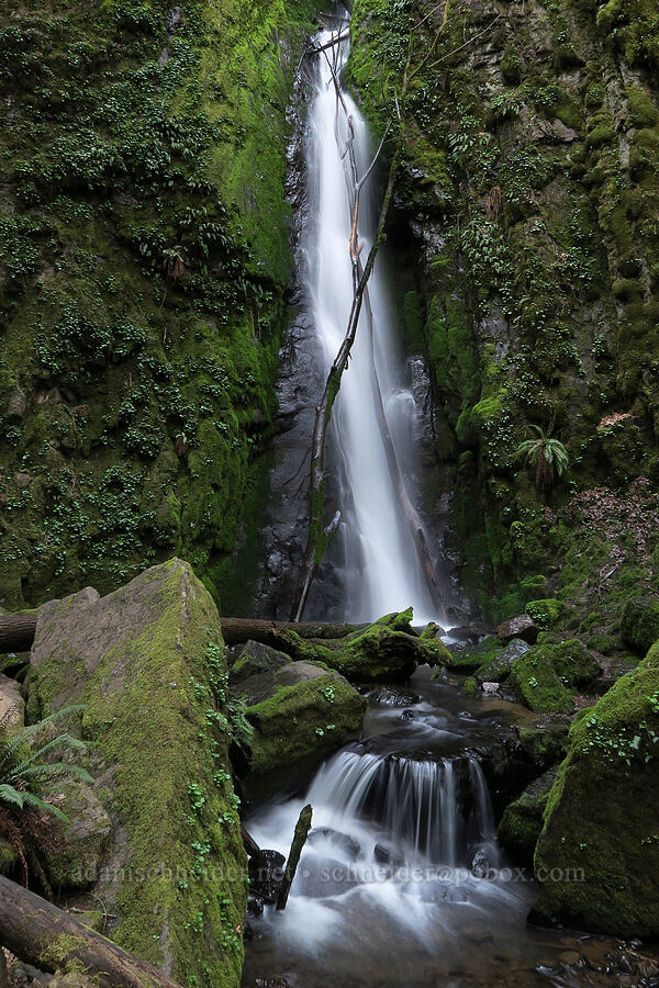 Lower Soda Falls [Cascadia State Park, Linn County, Oregon]