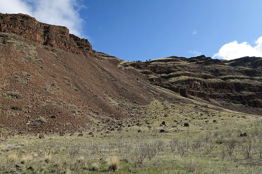 cliffs [BLM Criterion Tract, Wasco County, Oregon]