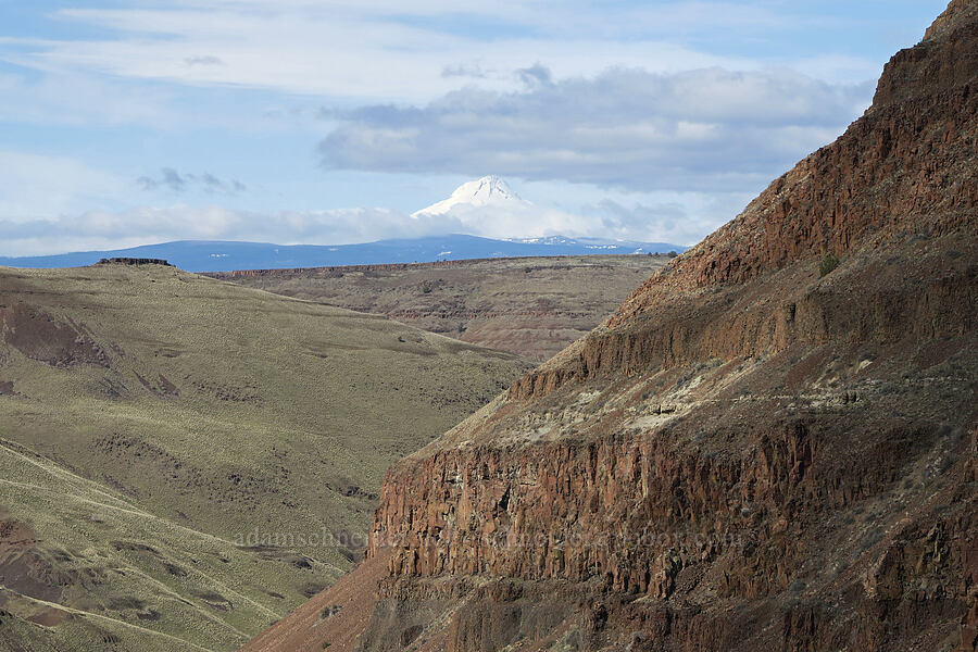 view toward Mount Hood [BLM Criterion Tract, Wasco County, Oregon]
