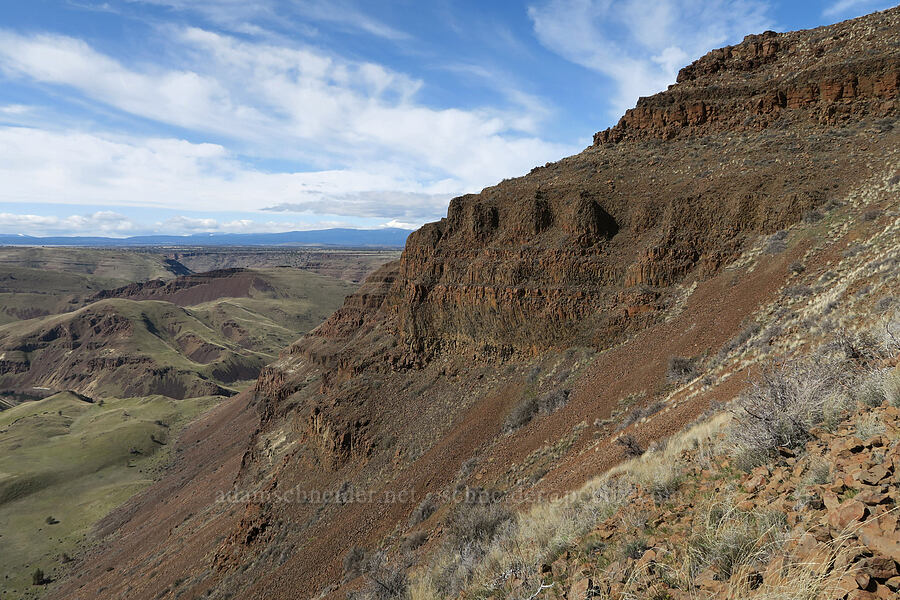 cliffs [BLM Criterion Tract, Wasco County, Oregon]