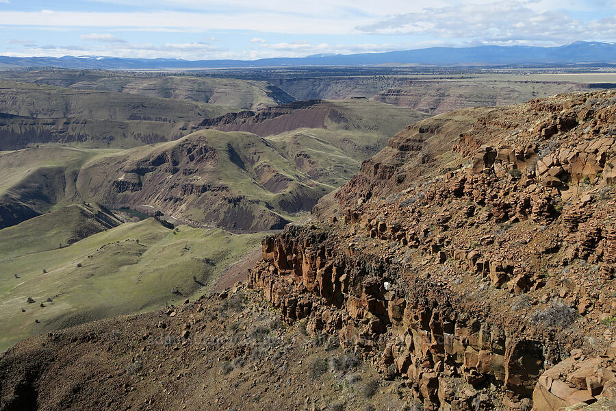 cliffs & canyonlands [BLM Criterion Tract, Wasco County, Oregon]