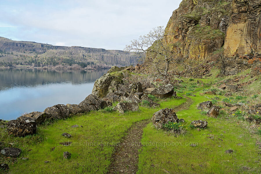 trail on the old Lyle Convict Road [Lyle Convict Road, Klickitat County, Washington]