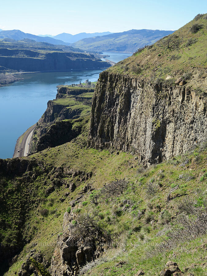 cliffs & the Columbia River [Lyle Cherry Orchard, Klickitat County, Washington]