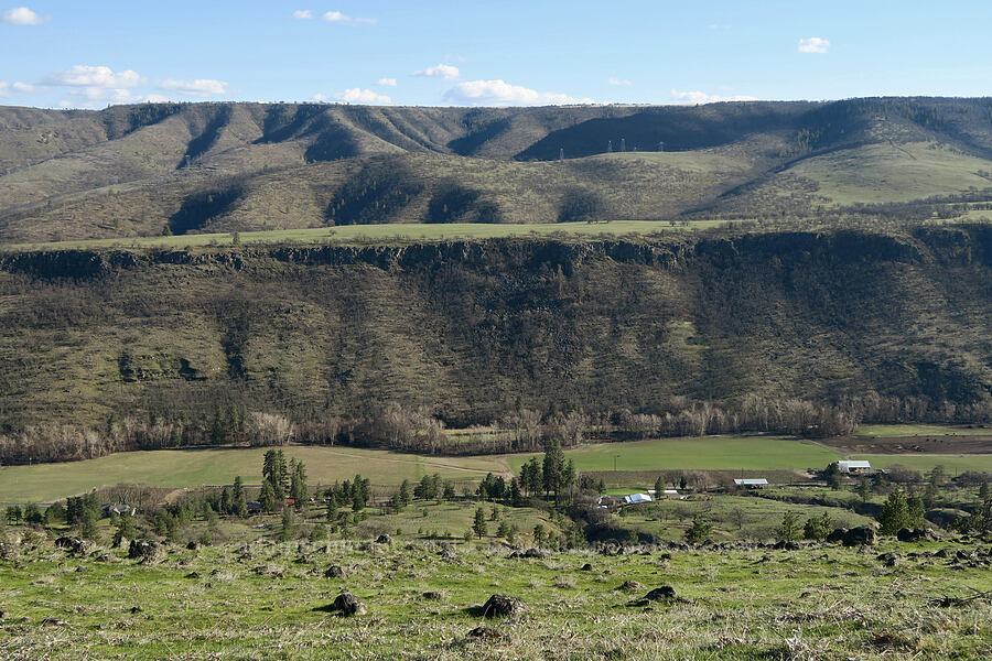 Oak Flat & Mill Creek Valley [Mill Creek Ridge Preserve, Wasco County, Oregon]