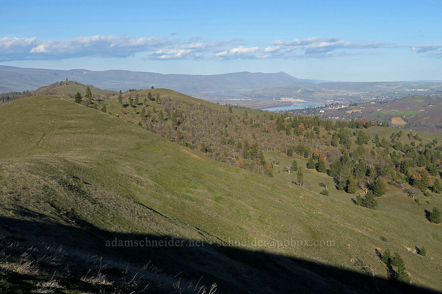 view toward The Dalles [Mill Creek Ridge Preserve, Wasco County, Oregon]