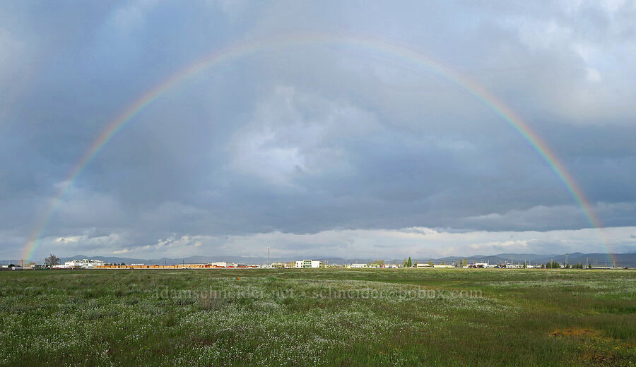 rainbow, warehouses, & wildflowers [Agate Desert Preserve, Jackson County, Oregon]