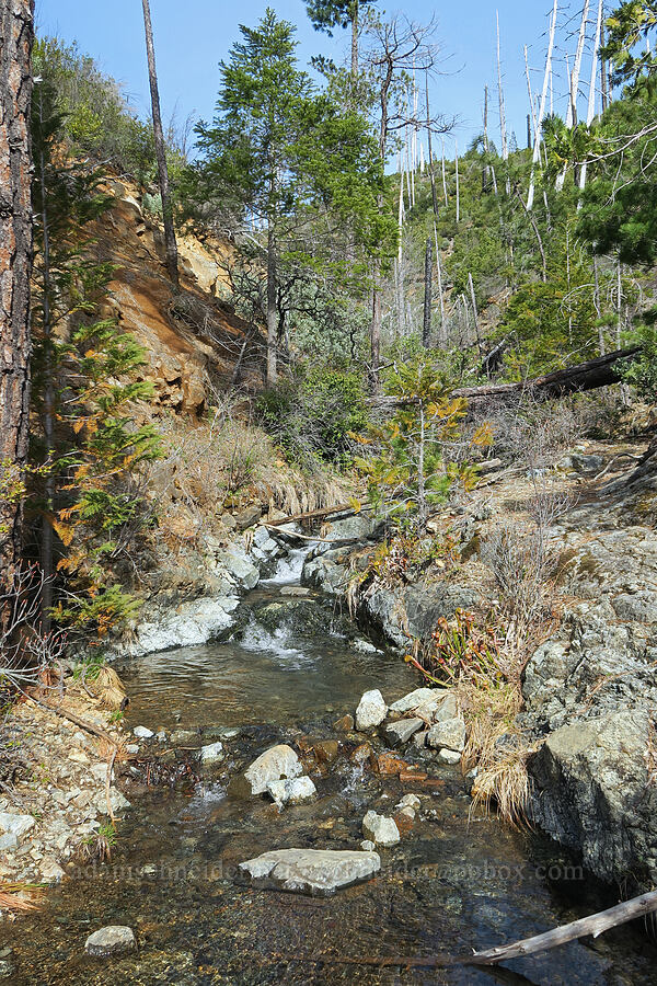 York Creek [Illinois River Trail, Kalmiopsis Wilderness, Josephine County, Oregon]