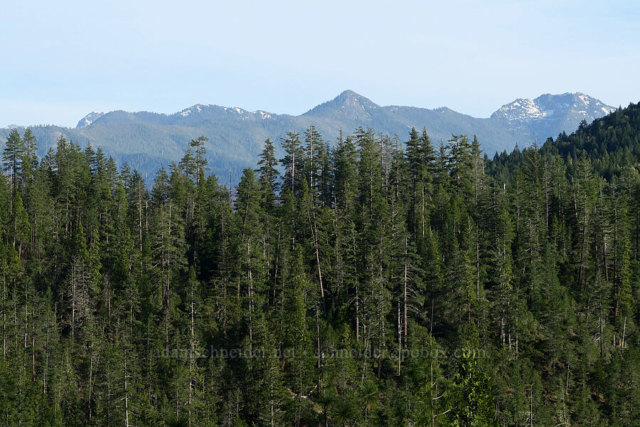 Little Sanger Peak & Sanger Peak [Oregon Mountain Botanical Area, Josephine County, Oregon]