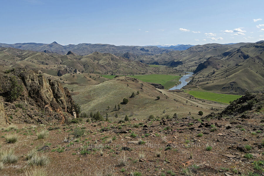 view to the south-southeast [Spring Basin Wilderness, Wheeler County, Oregon]