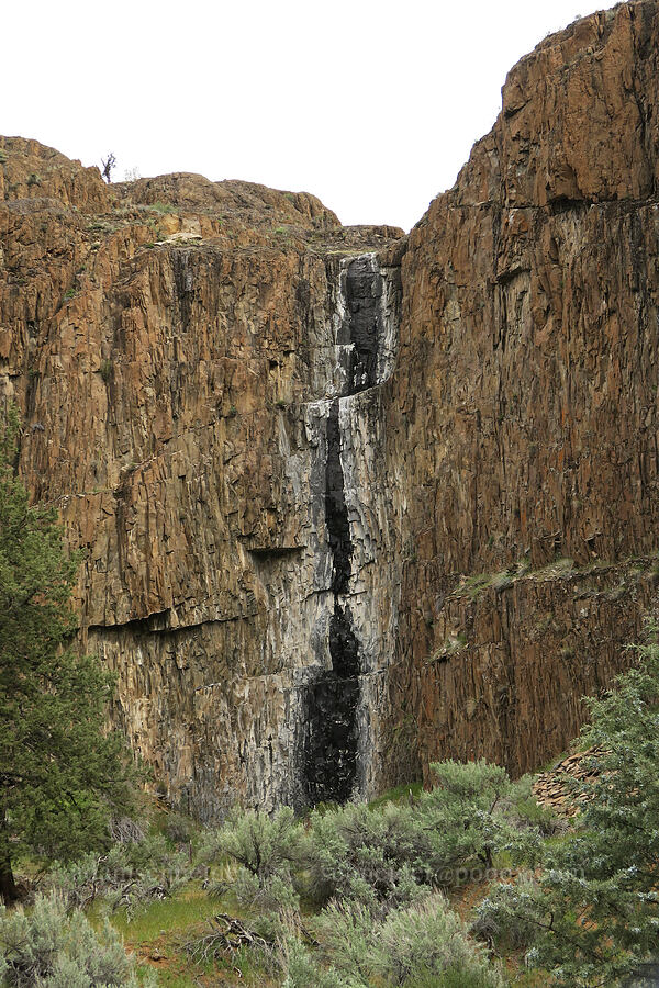 dry waterfall [Girds Creek Road, Wheeler County, Oregon]