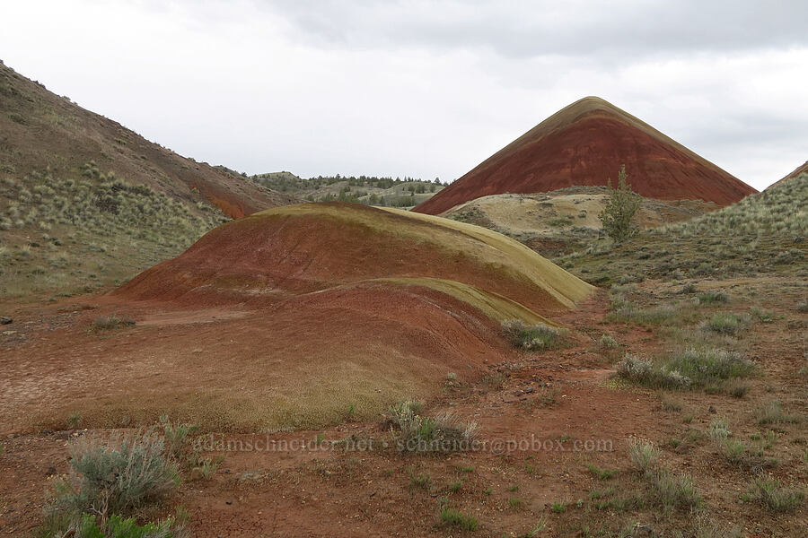 Red Scar Knoll (Red Hill) [Red Scar Knoll Trail, John Day Fossil Beds National Monument, Wheeler County, Oregon]