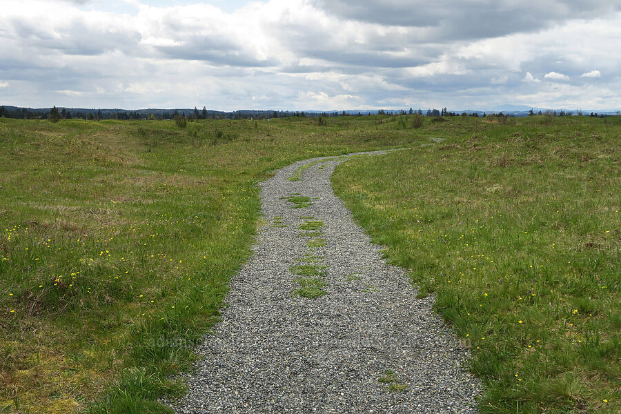 trail through Mima Mounds [Mima Mounds Natural Area Preserve, Thurston County, Washington]