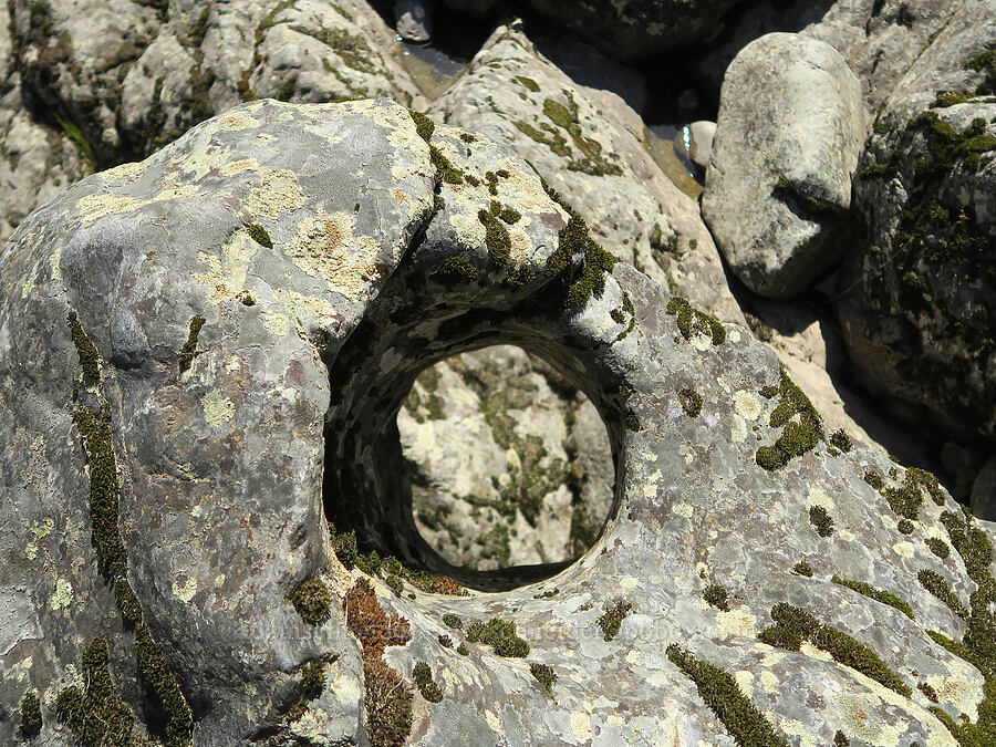 hole in the rock [Rainie Falls, Josephine County, Oregon]