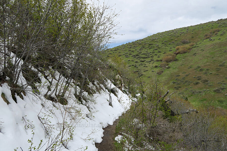snow on the trail [Hulls Gulch Interpretive Trail, Ada County, Idaho]