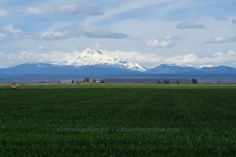 Mount Jefferson & Lionshead [Columbia Drive, Jefferson County, Oregon]