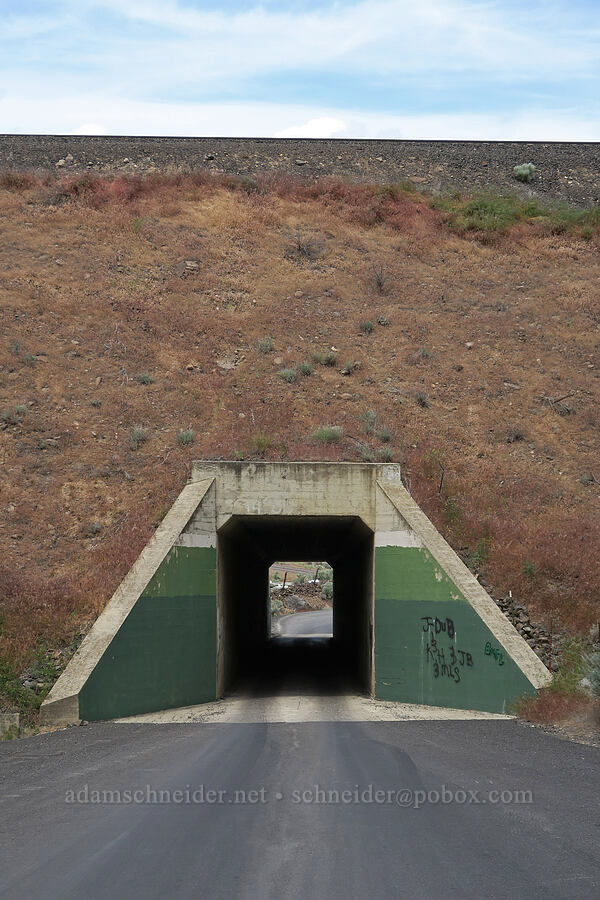 one-lane tunnel [Cook Lane, Jefferson County, Oregon]