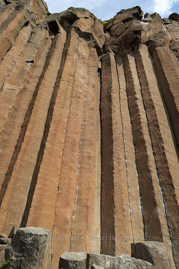 columnar basalt [Trout Creek Climbing Area, Jefferson County, Oregon]