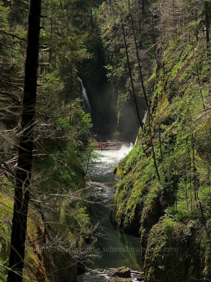 Sorensen Falls & Metlako Falls [Eagle Creek Trail, Columbia River Gorge, Hood River County, Oregon]