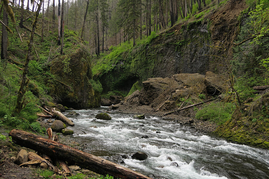 landslide below Punchbowl Falls [Eagle Creek Trail, Columbia River Gorge, Hood River County, Oregon]
