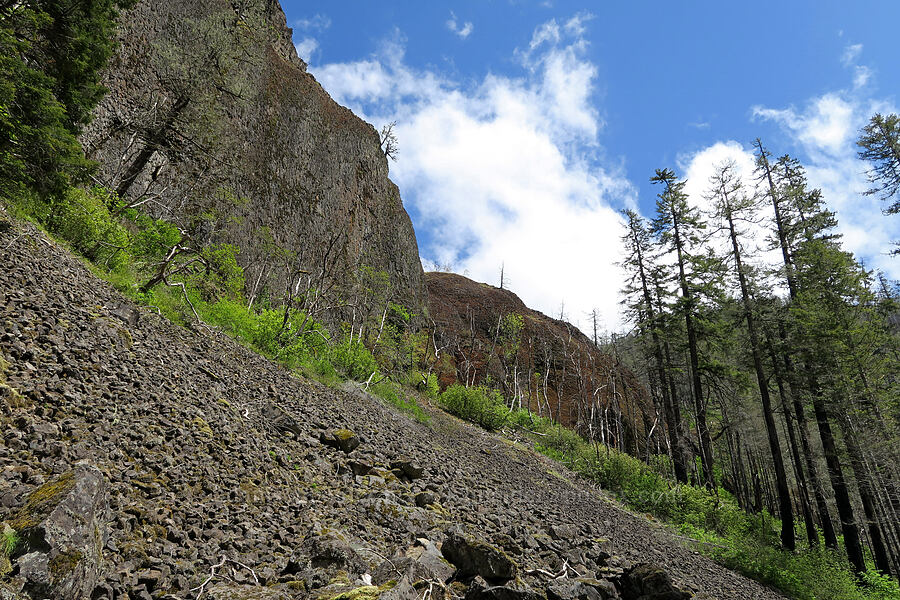 talus & cliffs [Eagle Creek Trail, Columbia River Gorge, Hood River County, Oregon]