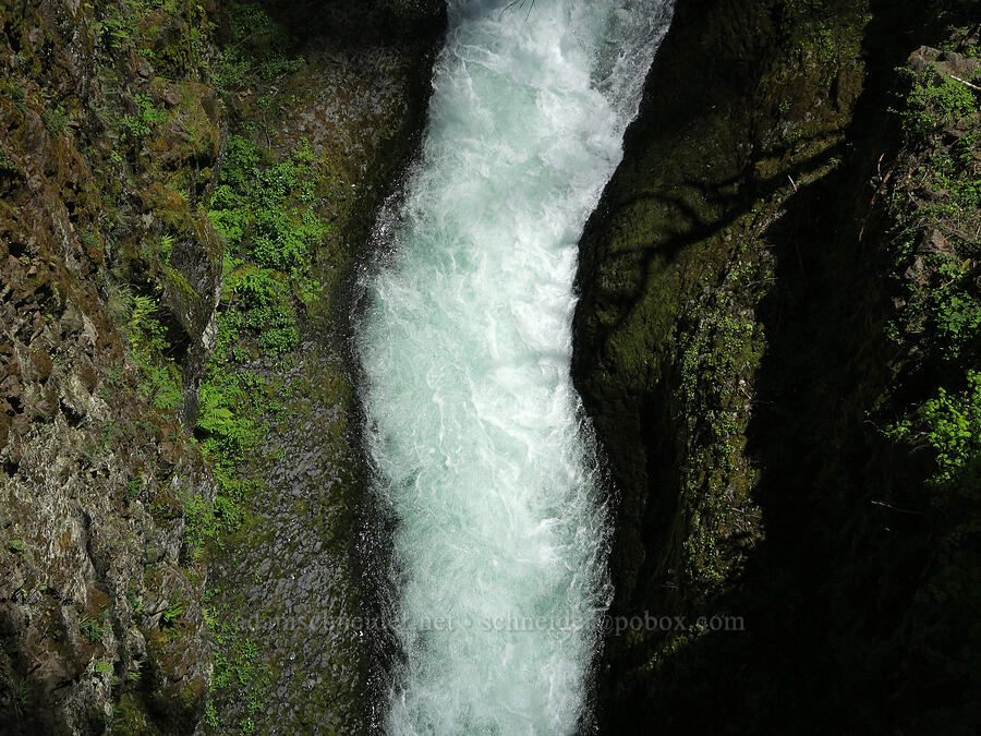 Eagle Creek from High Bridge [Eagle Creek Trail, Columbia River Gorge, Hood River County, Oregon]