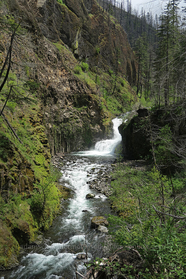 Skookumchuck Falls [Eagle Creek Trail, Columbia River Gorge, Hood River County, Oregon]
