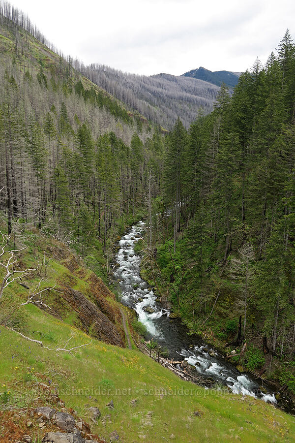 Eagle Creek [Eagle-Benson Trail, Columbia River Gorge, Hood River County, Oregon]