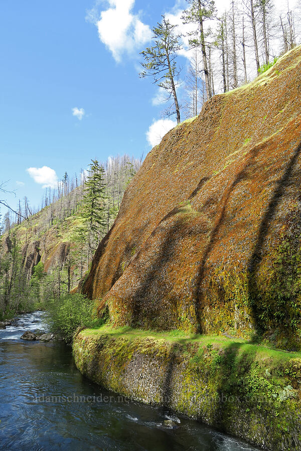 mossy cliffs & Eagle Creek [Eagle Creek Trail, Columbia River Gorge, Hood River County, Oregon]