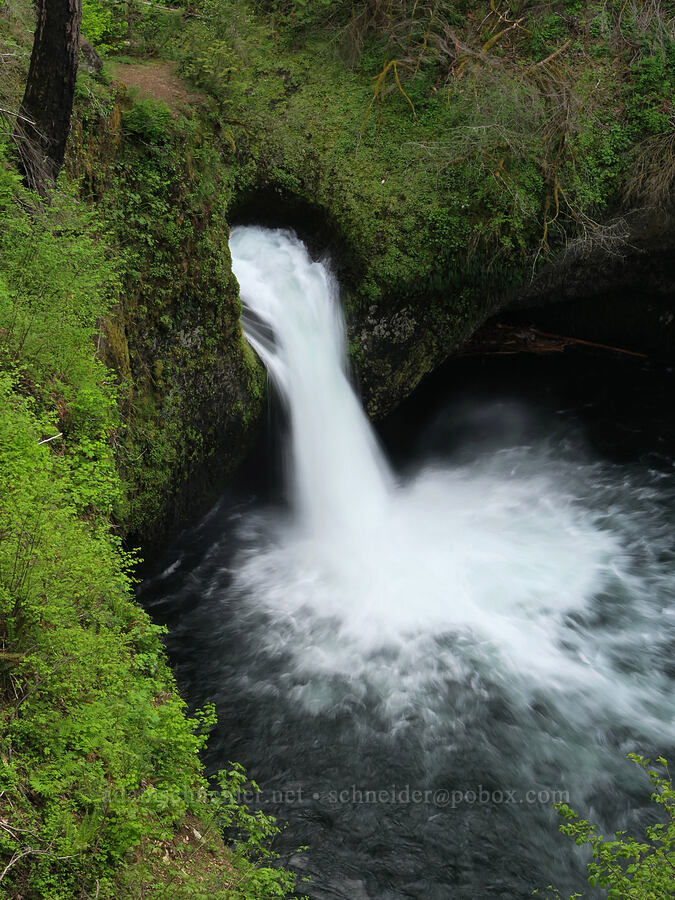 Punchbowl Falls [Eagle Creek Trail, Columbia River Gorge, Hood River County, Oregon]