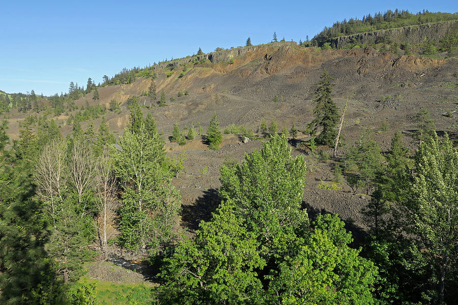 Rock Creek & basalt slopes [Historic Columbia River Highway State Trail, Mosier, Wasco County, Oregon]