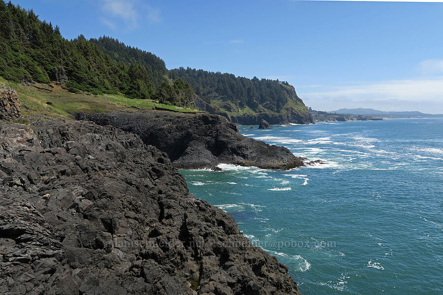 sea cliffs [Cape Foulweather, Lincoln County, Oregon]