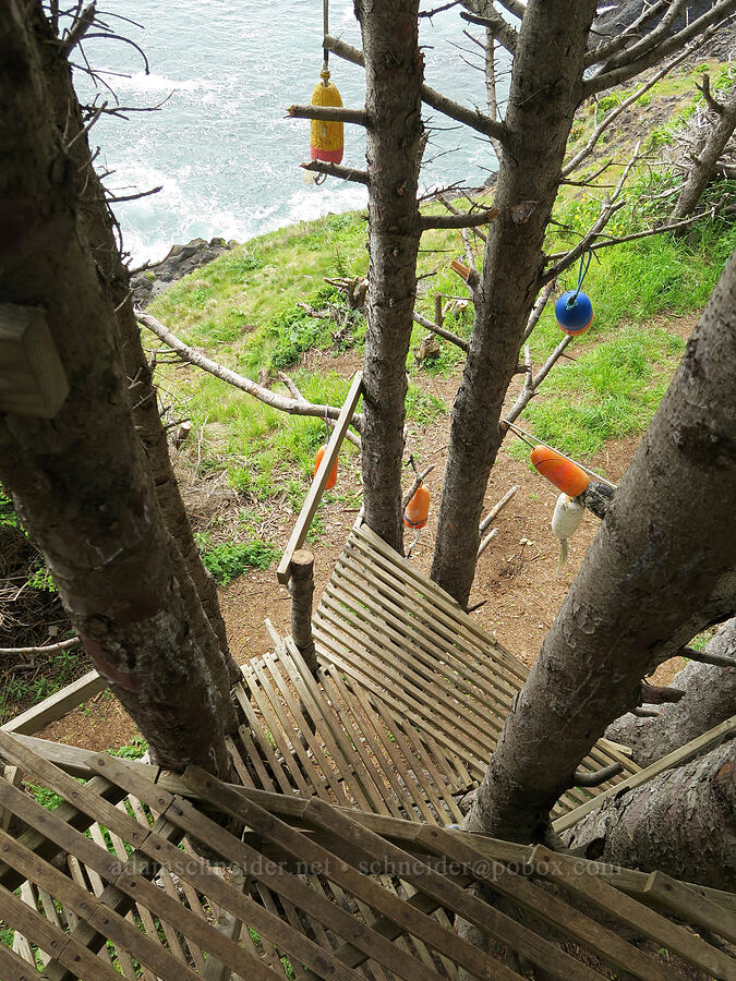 treehouse [Cape Foulweather, Lincoln County, Oregon]
